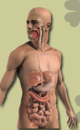 Male Colon Cleansing